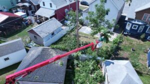 Read more about the article Emergency Tree Services: Ensuring Safety and Swift Tree Removal