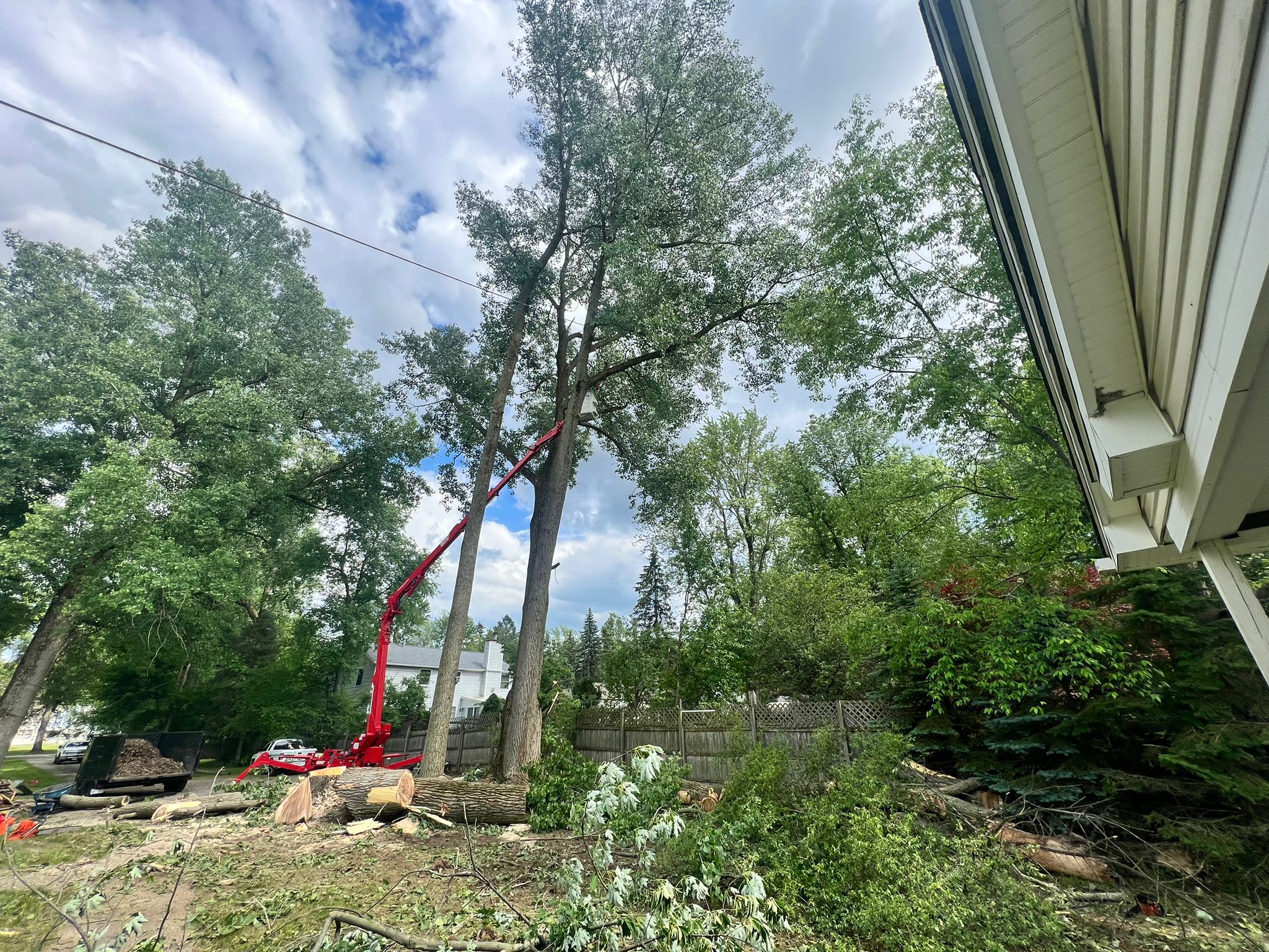 Read more about the article Why Tree Removal Services Are Essential in Syracuse, NY