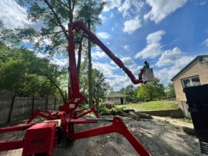 Read more about the article Tree Cutting Syracuse NY: Why Should Cut Trees?