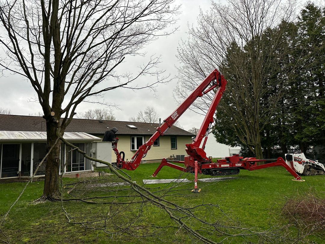 Read more about the article Tree Removal Syracuse NY: Why Proper Tree Removal is Essential in Syracuse, NY