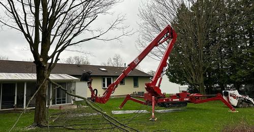 You are currently viewing Tree Removal Baldwinsville: Are Tree Removal Services Necessary for Healthy Trees?