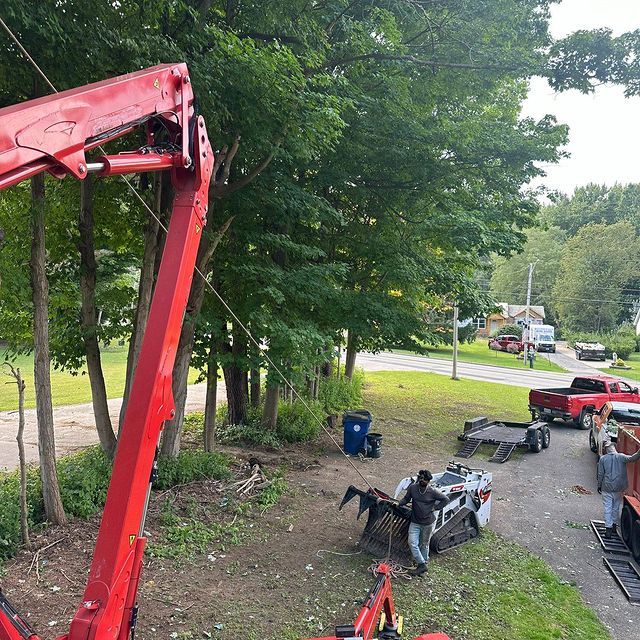 You are currently viewing Expert Tree Services in Cortland County, NY – Precision & Care from KD Tree Syracuse NY