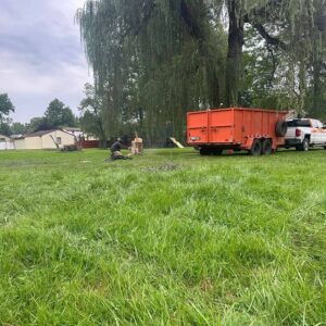 Read more about the article Expert Tree Removal & Care in Liverpool, Salina, NY by KD Tree Syracuse NY